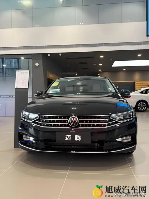 15万落地买B级车?这3款闭眼入,省油又保值!-3