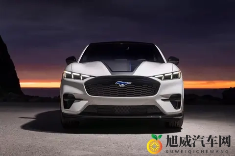 注入蓝色基调，福特电马GT推加州特别版-2