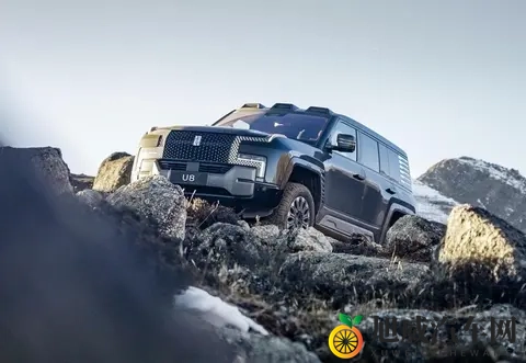 丢掉中国第一！比亚迪疲态显现、快装不下去了？-1