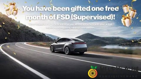 圣诞送礼新选择：特斯拉将在美推出FSD订阅赠送计划-2