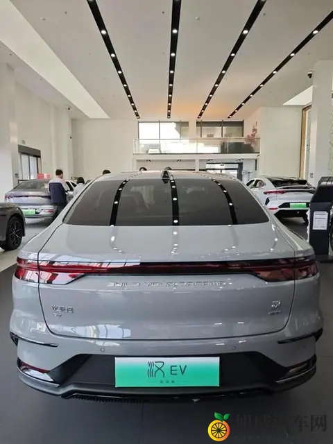 意料之外,我成了尊贵的比亚迪车主-2