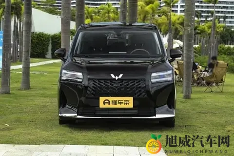 7万多拿下真7座!星光730满足全家出行,第三排不挤不晕-3