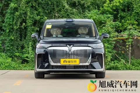 入手26款岚图梦想家，智能安全又豪华，半个月体验超满意！-3