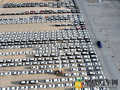 年轻人疯抢“破产车”!7万块提走14万哪吒,是捡漏还是踩坑?-1