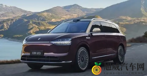 11月重磅车：BBA发力了，准备弯道超车新势力？-2