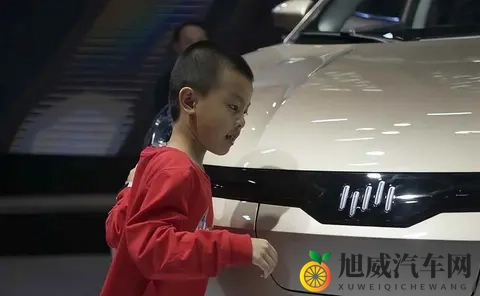 一夜负债200亿？电动车巨头轰然倒塌：终于活成贾跃亭信徒-1