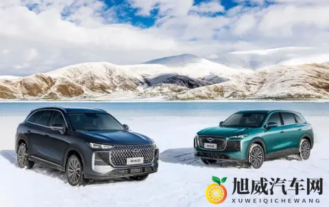 新一代瑞虎8买车攻略:直接冲顶配-2