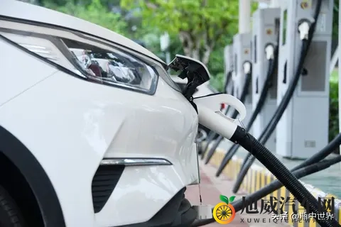 新能源车价格战告一段落,“淘汰赛”才刚开始!谁能活下来?-1