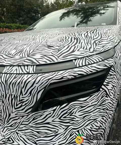 日产全新纯电 SUV 车型 N8 谍照曝光，爆料称“性价比超高”-3