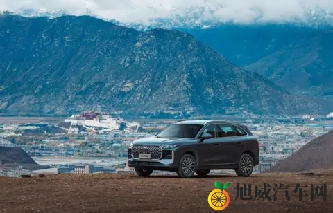 奇瑞热门车型迎更新 第五代瑞虎8开启预售-3