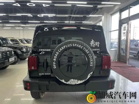 准新坦克300:2万公里,圆你越野梦!-2