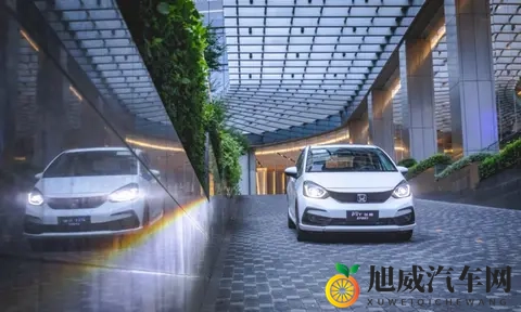 A0级市场冰火两重天,飞度是“时代眼泪”?没这么简单!-2