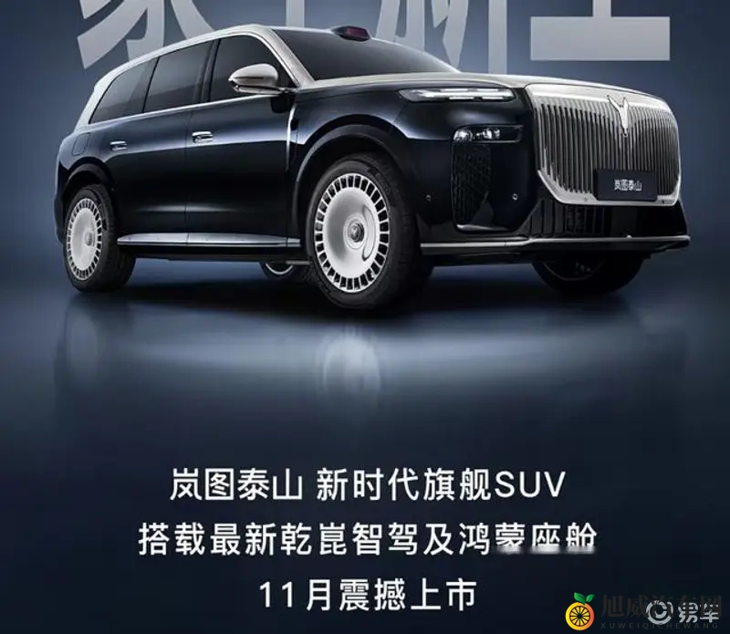 一个人看的ww：新能源汽车独立发展，谁将引领未来市场？-1