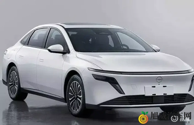 黑人性 40厘米:独特设计引领潮流,环保车型备受期待-1