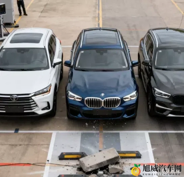 男生女生打扑克网站：男女欢聚，扑克牌战乐园-1