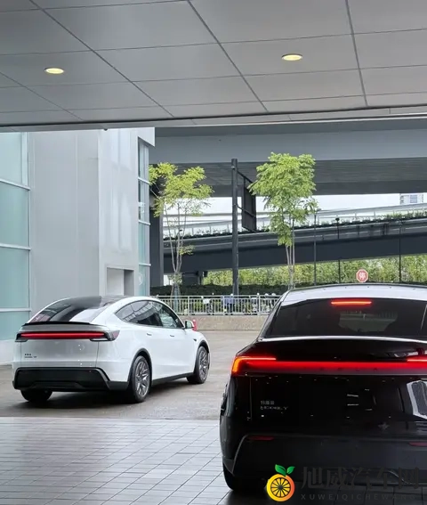 Model Y，黑白当道，未来会怎样-1