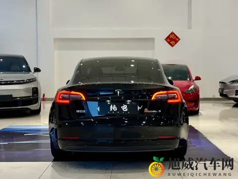 几个菜钱就能圆“特斯拉梦”？21年Model3抄底价！-3