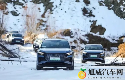 盘点五款降价幅度较大的车型，有纯电也有燃油车，能“捡漏”？-3