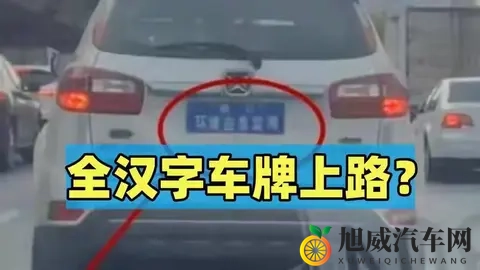 全汉字车牌上路被人举报？交警来到笑了：我真管不了-1