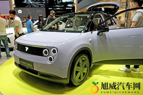 蔚来 “小老弟” 闯欧洲！萤火虫批量出海，从 MINI_Smart 手里抢蛋糕-2