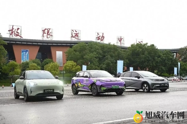 推特破解版免费网站：免费获取推特破解版本，官方网站推荐-1