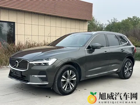 91暗网：暗网黑市揭秘：汽车交易暗藏隐患，真相令人震惊-3