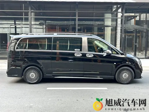 黑色商务舱，准新一手奔驰威霆，宜商宜家！-3