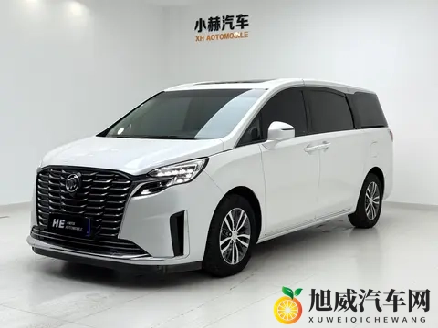 奶爸福音，宜商宜家，准新一手别克GL8-1