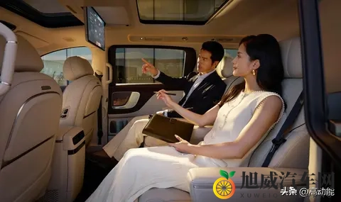 10月高端MPV销量榜：华系品牌领先_岚图梦想家成新销冠-3