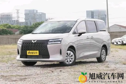 10万级家用MPV标杆！空间大，电滑门，三动力，安全舒适-1