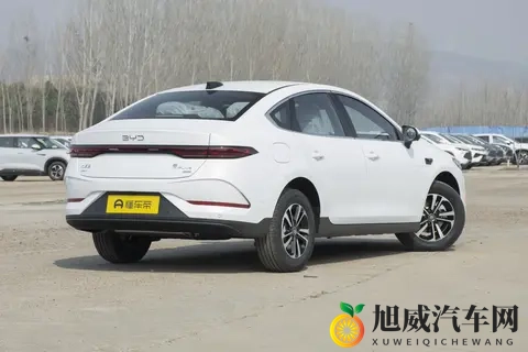 街头新车认不出，品牌多到眼花，车市悄悄变了天-3