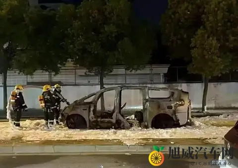 理想车自燃后李想还能不能守住他的纯电梦-2