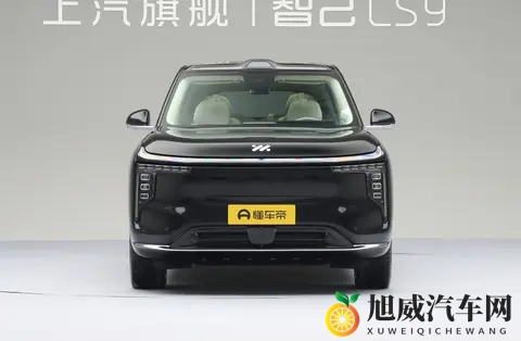 智己LS9登场，能抢到高端SUV市场的蛋糕吗-3