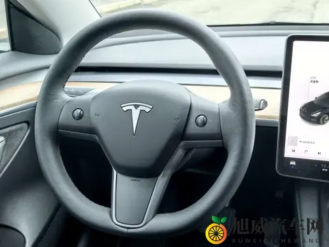 10万出头,21年特斯拉Model3,圆你绿色出行梦-3
