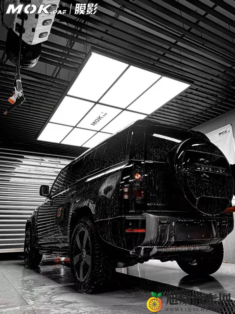 为什么黑色车贴车衣的更多?-1