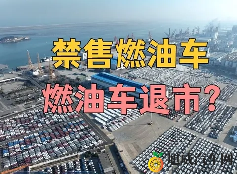 成人电影AV：成人影视作品精选展示-3