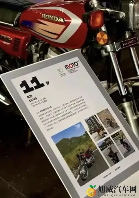 99热热rr66：探寻极致热情，99号狂欢热浪来袭-2