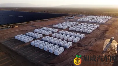 五月天丁香花：五月天经典曲目演绎，丁香花浪漫旋律再现-3