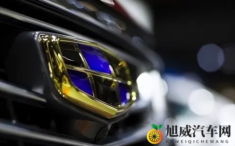 替中国做了嫁衣，还帮中国把洞房给暖了，西方车企在俄罗斯输麻了-2