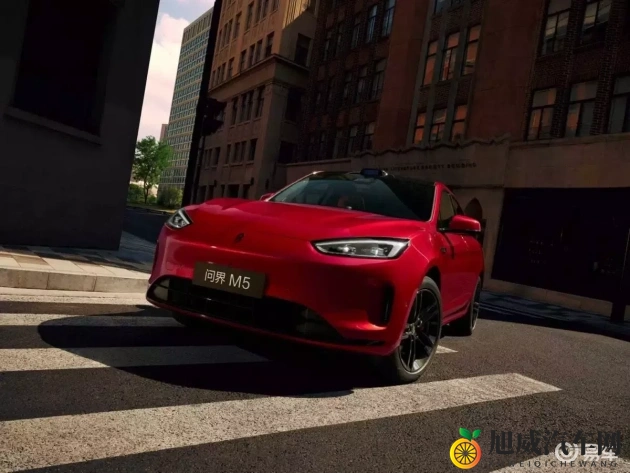 男人桶女人肌肌：汽车内饰新风尚：男人“桶”与女人“肌肌”之争-2