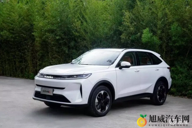 商务旅行女老板戴的帽子经典：时尚出行必备：女老板们的帽饰与座驾揭秘-1