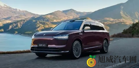 同车不同命！新能源车险为何成为“甜蜜负担”？-1