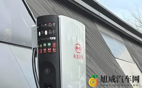 还能更便宜？比亚迪明年将有3个大动作，友商或遭“饱和攻击”-1