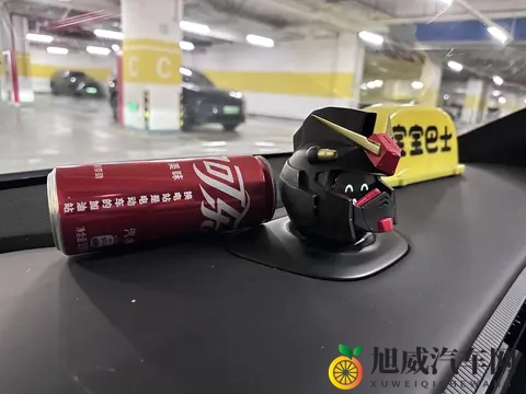 做蔚来车主也太幸福了吧~-3