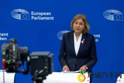 安世半导体风波：荷兰“抢”走公司，欧洲车企为何还得求中国？-2