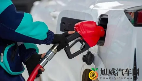 哥布林洞窟:神秘深洞探哥布林遗迹-2