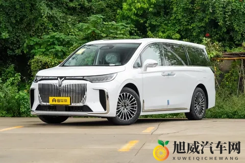 宜商宜家、全面均衡！试驾26款岚图梦想家，到底表现如何？-3