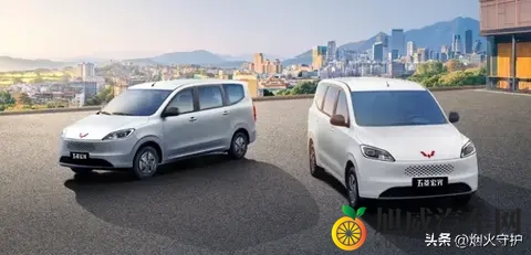 对抗新能源？五菱宏光神车548万逆势出击，瞄准乡村市场-1
