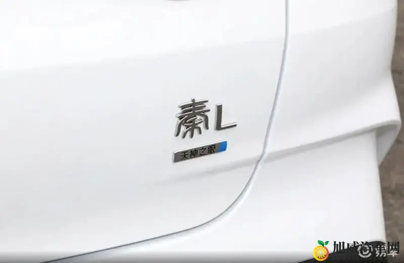 蝌蚪窝一个可以释放的网站：探索无限，释放心灵的网络空间-1