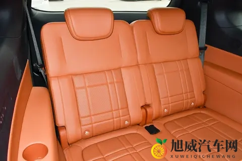 深蓝 S09 破局记：新能源大型 SUV 市场 “现象级” 车型的圈粉逻辑-3